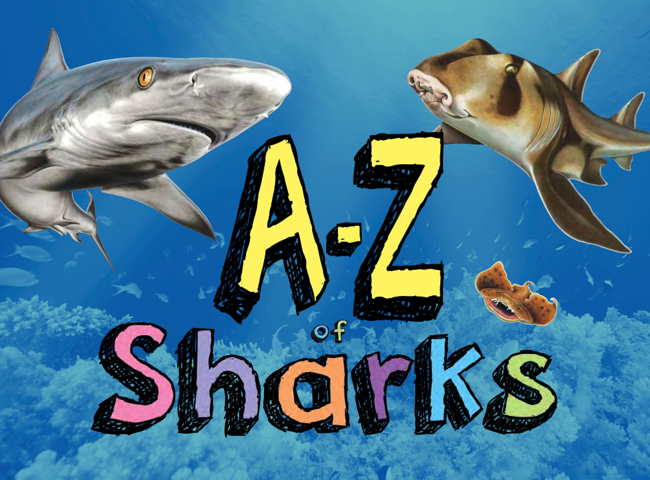 A-Z of Sharks