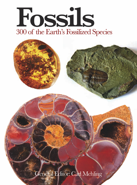 Fossils: Mini Encyclopedia