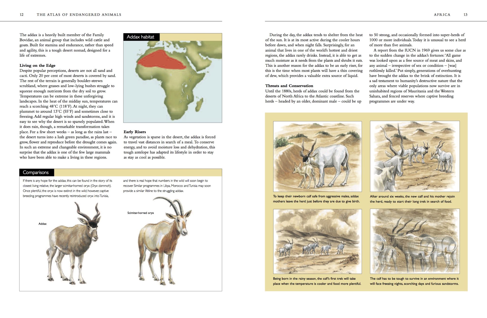 The Atlas of Endangered Animals - Amber Books