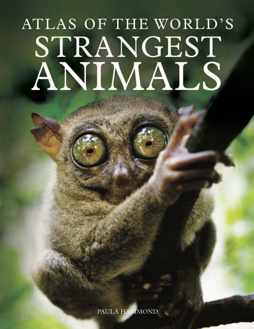 Atlas of the World's Strangest Animals - Amber Books
