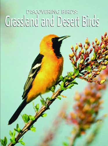 Discovering Birds: Grassland and Desert Birds