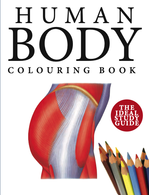 Human Body Colouring Book cover image