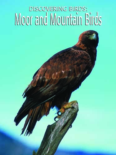 Discovering Birds: Moor and Mountain Birds