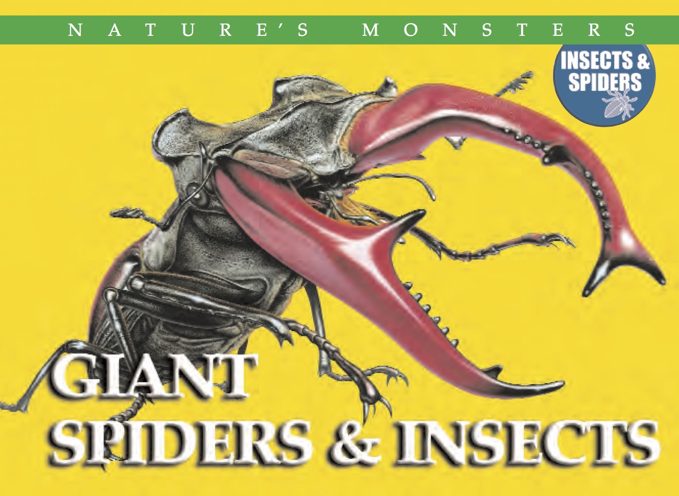 Nature’s Monsters: Giant Spiders and Insects