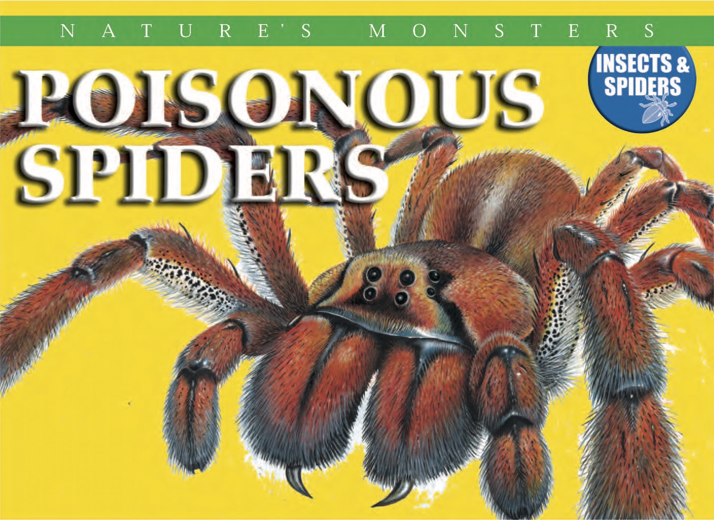 Nature’s Monsters: Poisonous Spiders