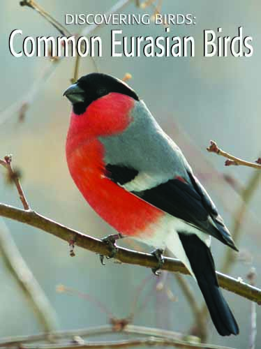 Discovering Birds: Common Eurasian Birds