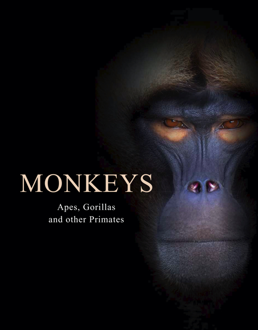 Monkeys front cover