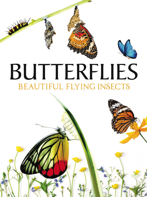 Butterflies jacket image