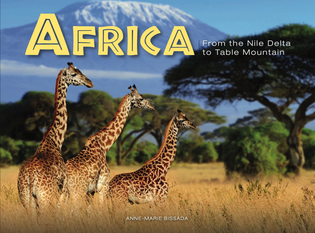 Africa book cover image