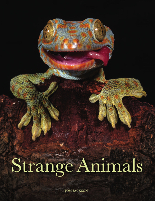 Strange Animals book cover image