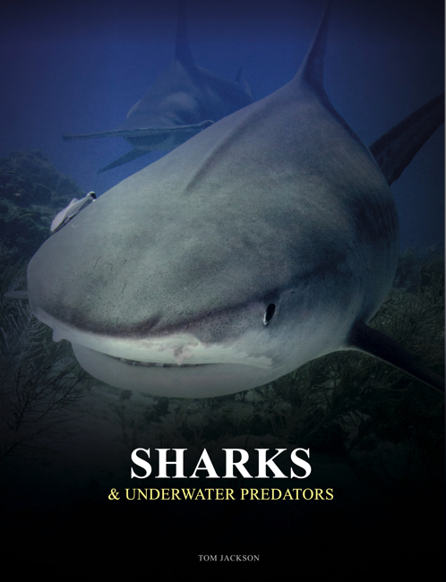 Sharks & Underwater Predators cover image