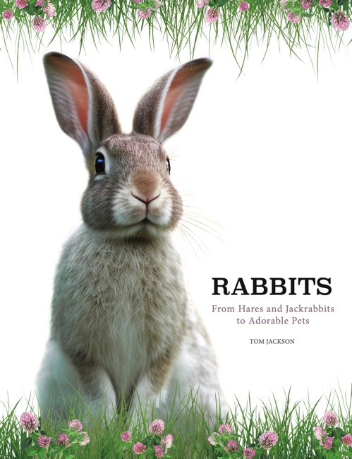 Cover of Rabbits by Tom Jackson