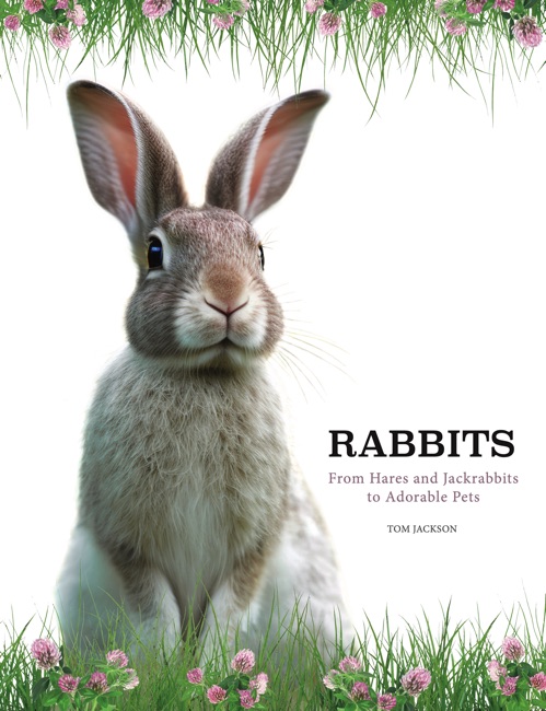 Rabbits [Photographic guide] by Tom Jackson - Amber Books