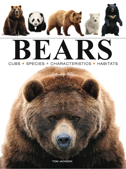 Bears by Tom Jackson book cover