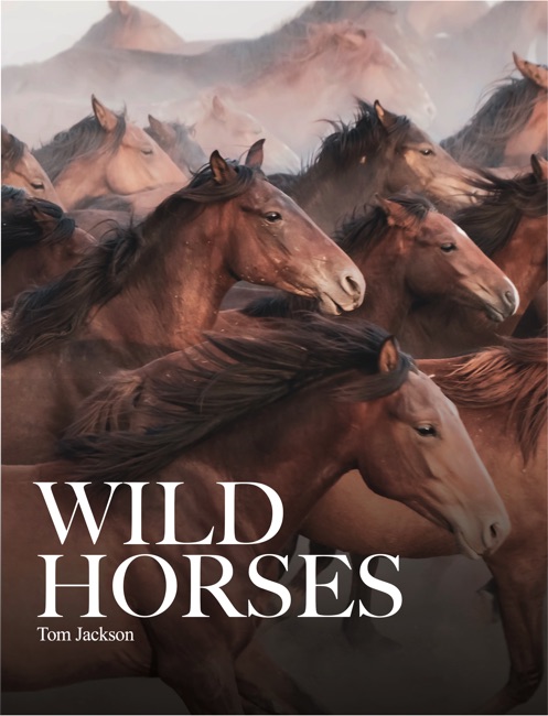 Cover images of Wild Horses by Tom Jackson