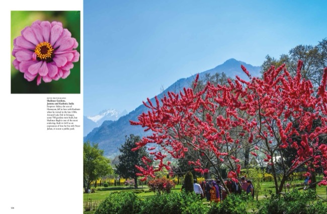 9781838865252 Amazing Gardens by Vivienne Hambly published by Amber Books Ltd