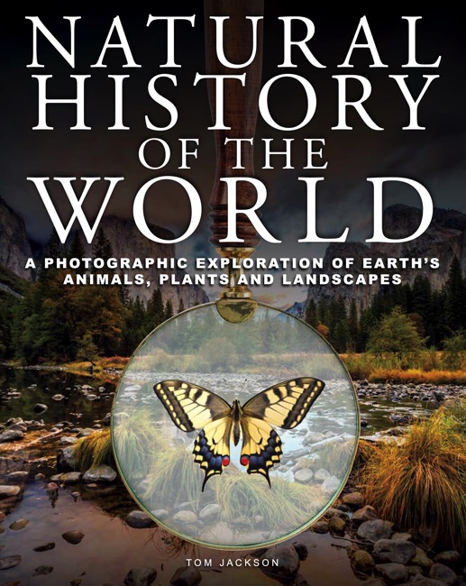 Natural History of the World