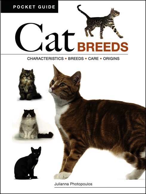 Cat Breeds [mini edition]
