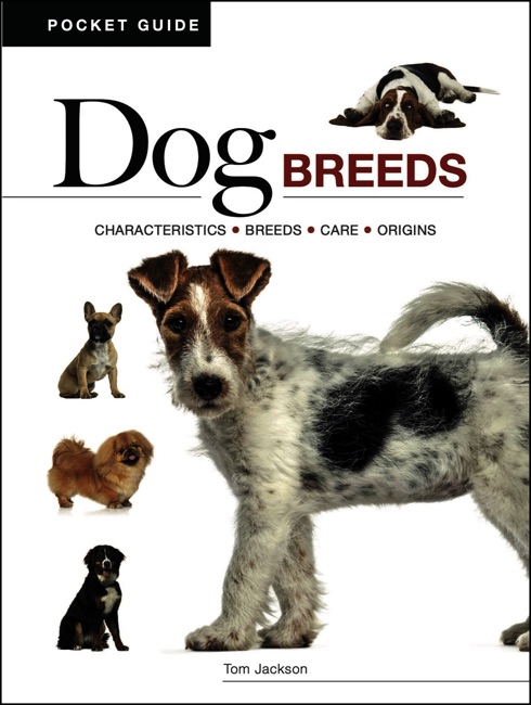 Dog Breeds book cover